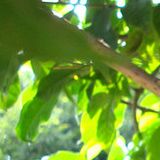 陶嘉志娱乐大咖