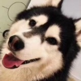 影视奇谈说