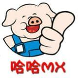 哈哈MX冷笑话精选