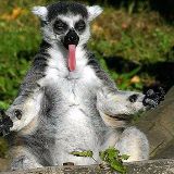 涛涛聊生活事儿