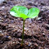 现代育儿小百科