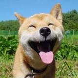 亿邦科技