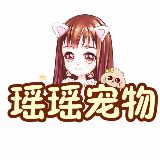 瑶瑶宠物