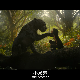 我和你们的故事