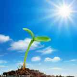 娱乐影视散步人