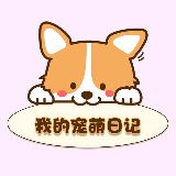 我的萌宠日志