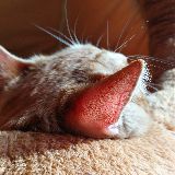 小离的私家笔记