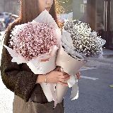 我要带你看遍世间璀璨