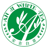 安吉白茶