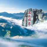 观齐鲁