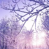 把幸福戴在无名指上