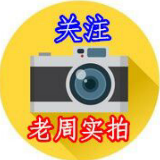老周实拍