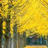 哦了娱乐小分队