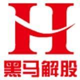 黑马解股
