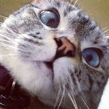 小航带你扒娱文