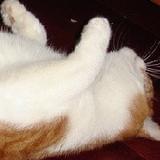 陶短房之短话短说