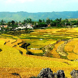 小赵的三农趣事