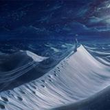 花花世界里的草