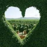 佬刘带你看世界