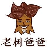 老树爸爸金线莲