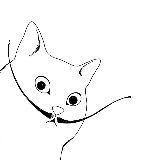 赛恩设计美学博主