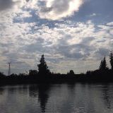 上官顾萌娱乐事