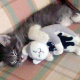 每日幽默集娱乐八卦