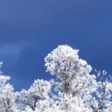 专注娱乐小团体