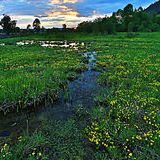 华秀曼娱乐大咖