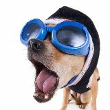 好梦总是被尿憋醒