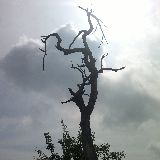 绝不戏说的故事