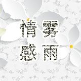 情感雾雨