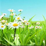 账款娱乐小分队