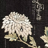 来点电影呀