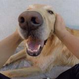 认真只为博你一笑