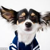 小爽谈生活趣事