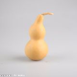 葫芦编程