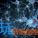 不准动我敌敌畏