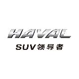 景德镇元盛哈弗旗舰店