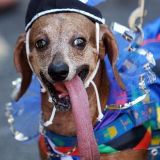 妮妮谈娱乐趣事