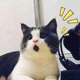 今天星期几a 