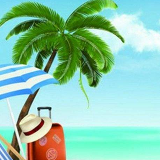 为了菊花去旅游