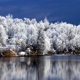 纳美娱乐小分队