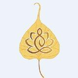 金种子积分制管理