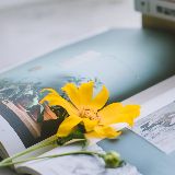 边工作的插本生