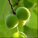 海天清一色的厨房