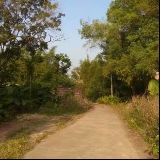 两盏桃花一碗月