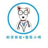 宠物医师小明