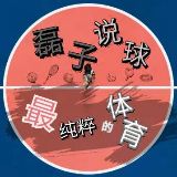 磊子说球
