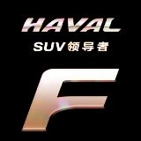 开哈弗的小姐姐